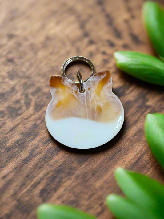 Resin Pet Tags